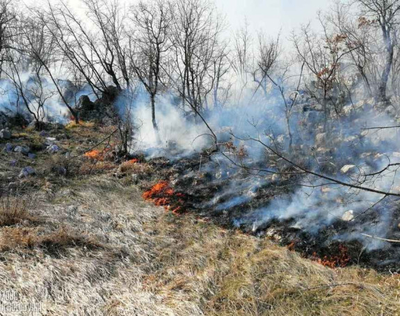 14 пожара гори у Херцеговини