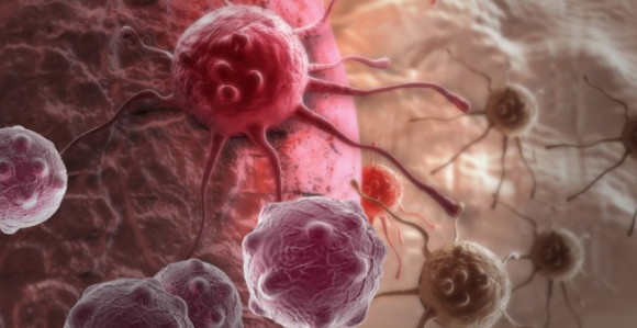 Dobijate rak jer jedete ove dvije namirnice