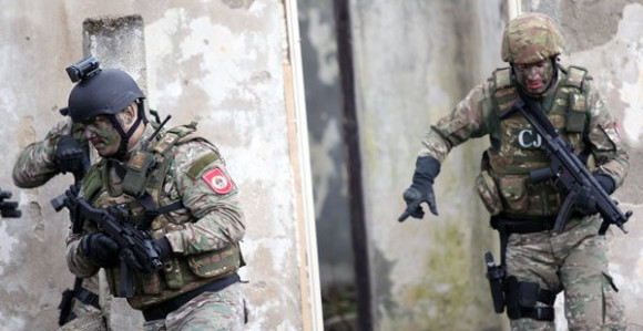 Velika policijska akcija u Srpcu