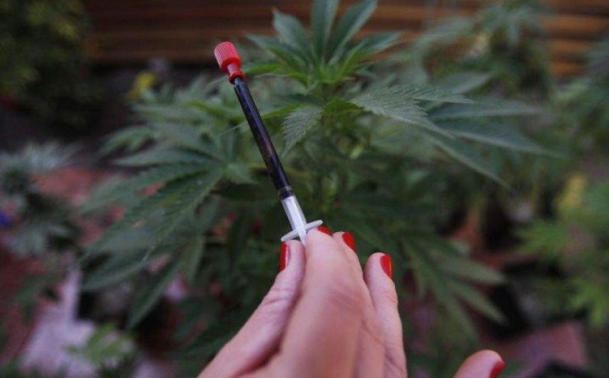 U Sloveniji na recept, u BiH kod dilera