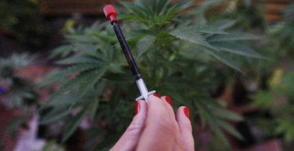 U Sloveniji na recept, u BiH kod dilera