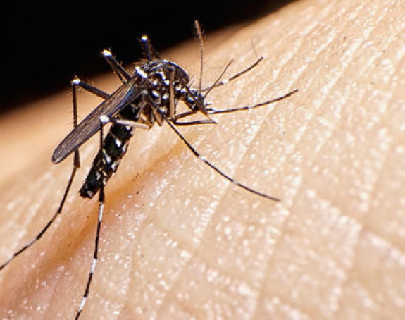 Prenosioci Zika virusa su suze i znoj