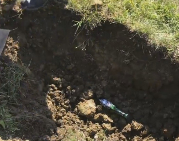 Kako zasaditi njemačko pivo?