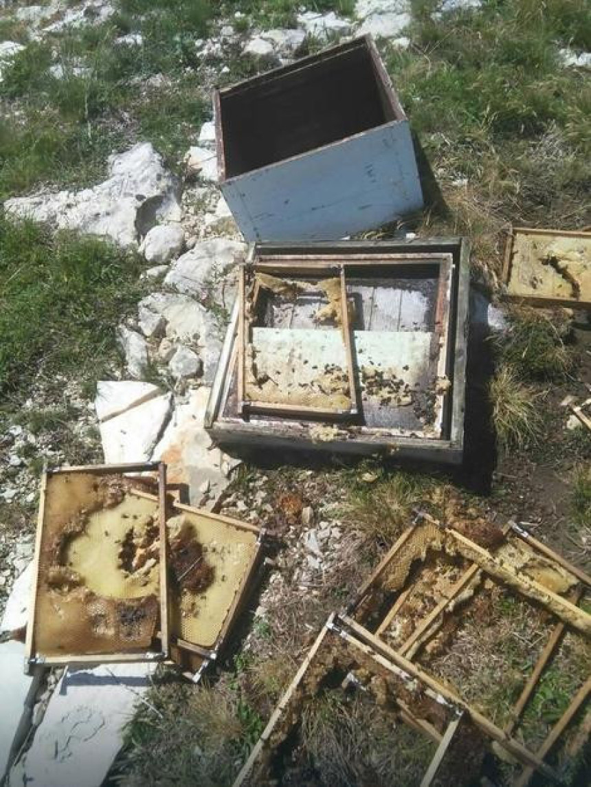 Gačani ostali bez prinosa meda