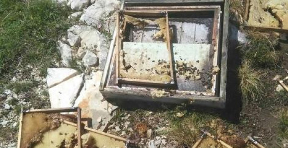 Gačani ostali bez prinosa meda