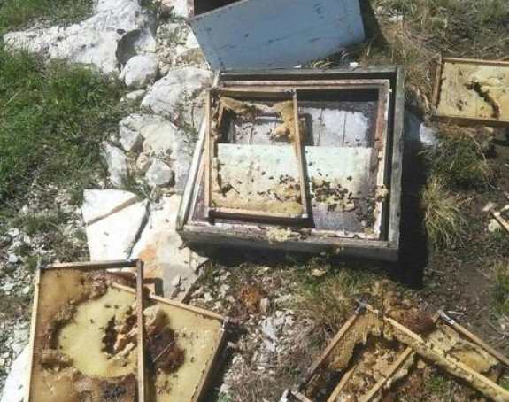 Gačani ostali bez prinosa meda