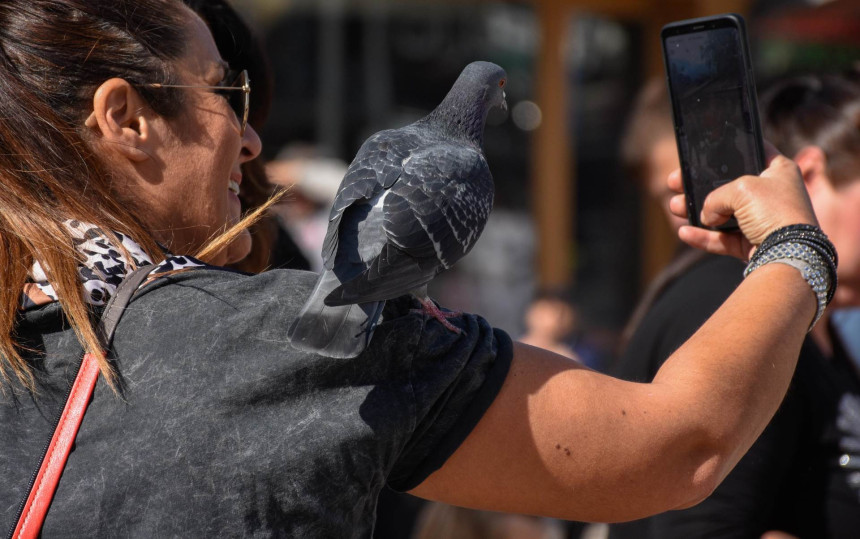 Oblačno vrijeme u BiH