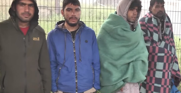 Ako ostanu tokom zime u BiH, umrijeće...”