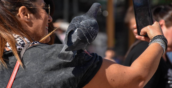 Oblačno vrijeme u BiH