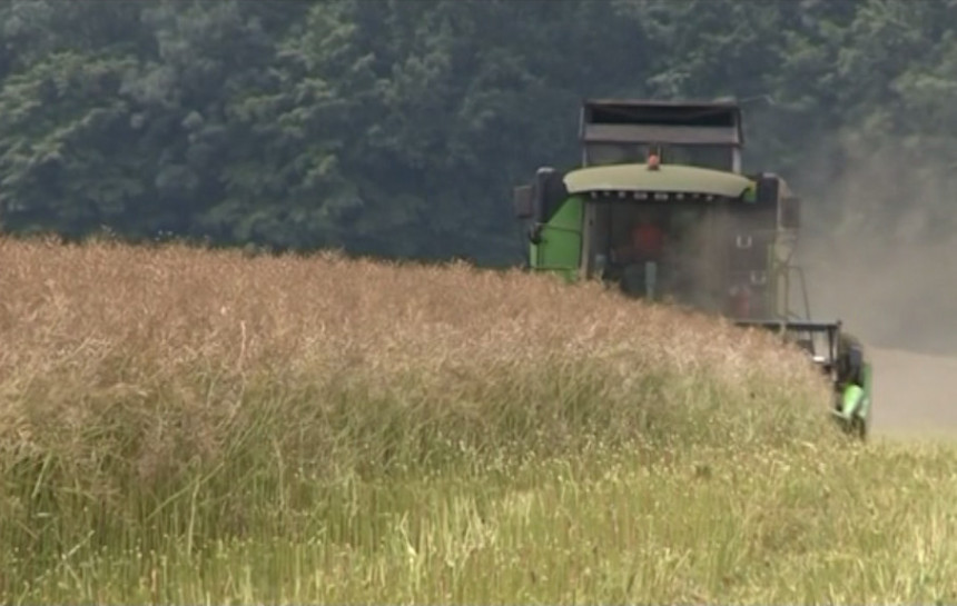 Savjetovanje o proizvodnji uljarica