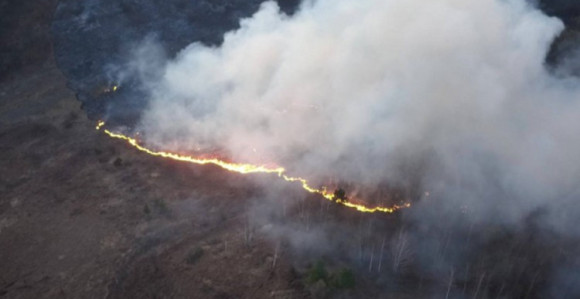 Hrvatska: Za 12 sati 83 požara