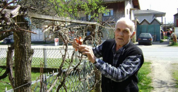 Platu primao 19, penziju 49 godina!