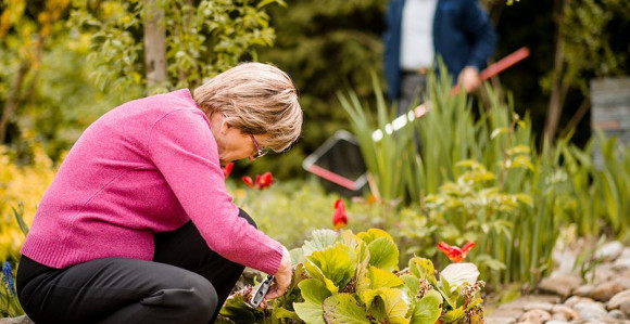 Temperatura danas i do 19 stepeni 