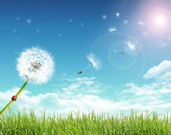 Јутрос сунчано, поподне пљусак