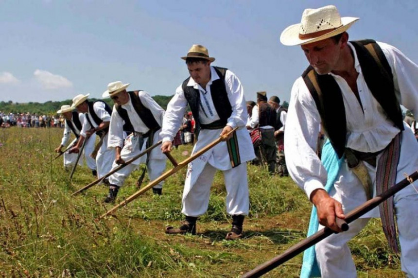Danas tradicionalna kosidba na Balkani 