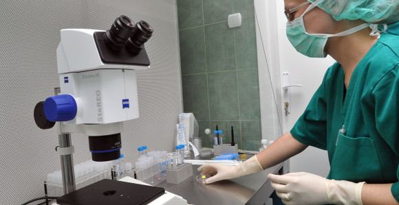 Uskoro prvi centar za vantjelesnu oplodnju