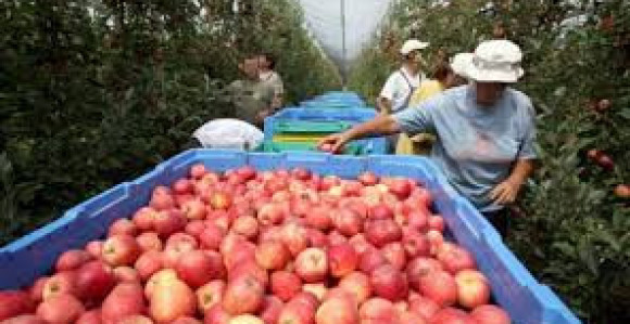U ponedjeljak o odluci Hrvatske