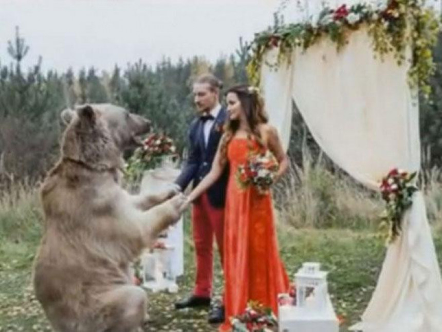 Neviđeno: Medvjed vjenčao mladence