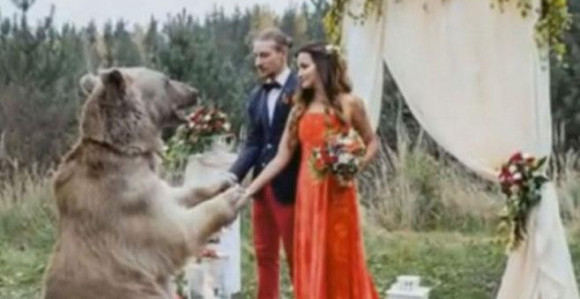 Невиђено: Медвјед вјенчао младенце