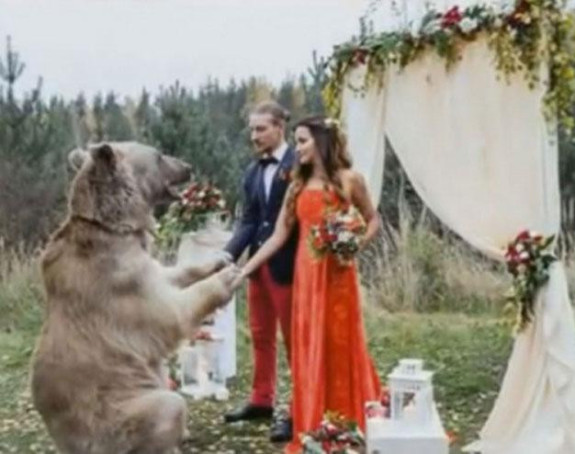 Neviđeno: Medvjed vjenčao mladence