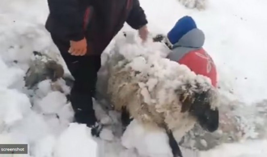 Prizori koji su obišli svijet