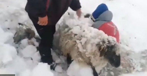 Prizori koji su obišli svijet 