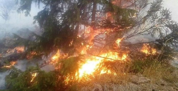 "Iljušin" počeo da gasi požar na Staroj planini