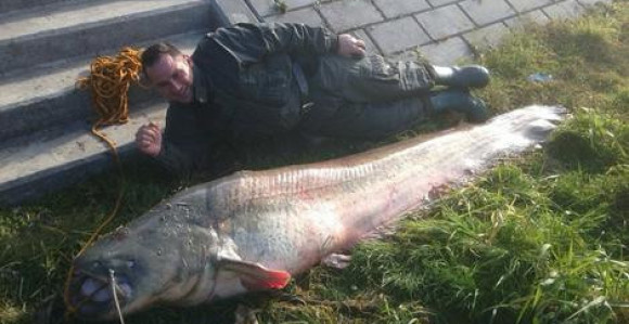 Neman od dva metra i 125 kg