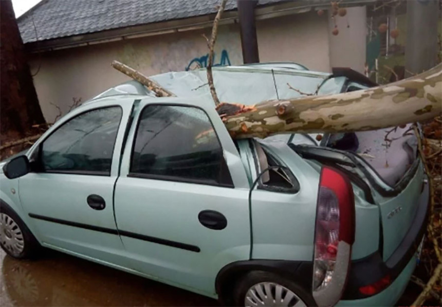 Snažan vjetar obarao stabla