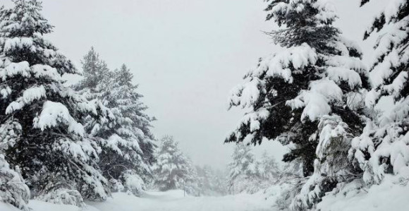 Lavina u Alpima: Poginulo četvoro