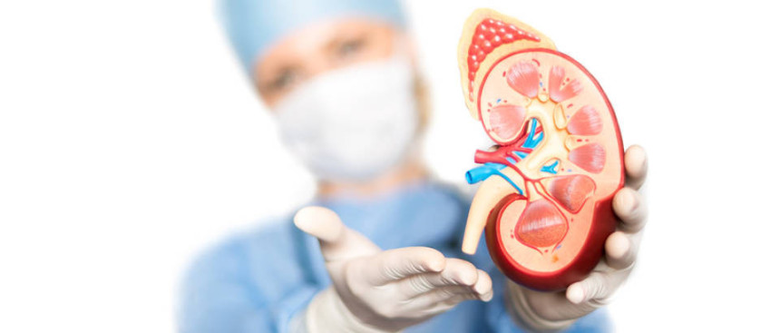 Bubrezi muče svakog desetog čovjeka