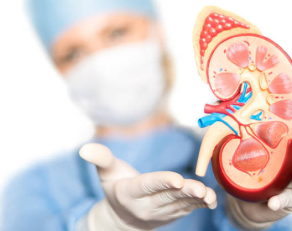 Bubrezi muče svakog desetog čovjeka