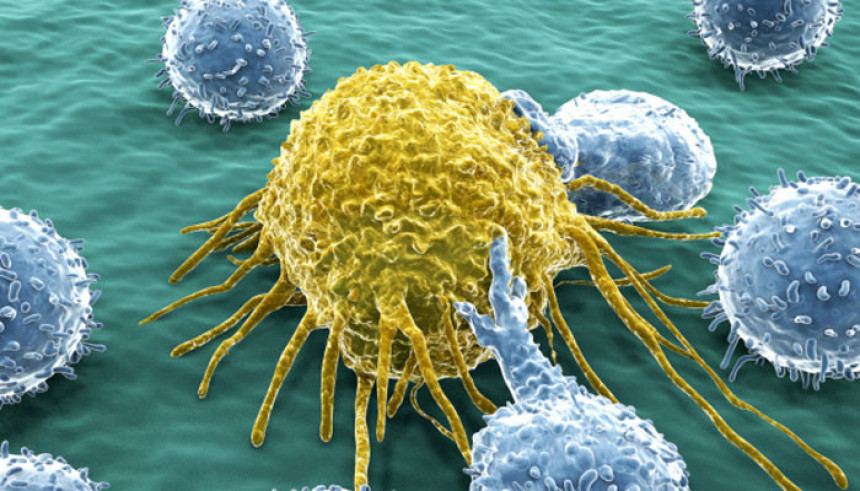 Naučnici na putu otkrivanja univerzalne vakcine protiv raka