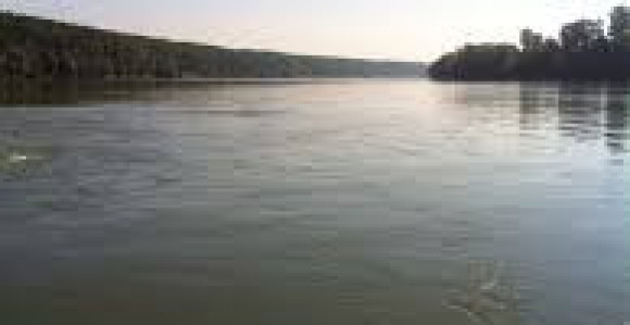 Vodostaj rijeke Save u porastu 