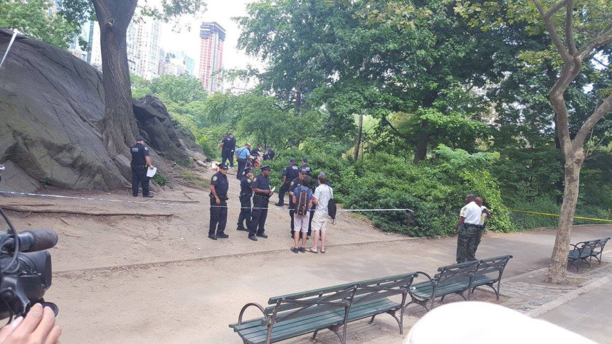 Njujork: Ekspolozija u Central Parku