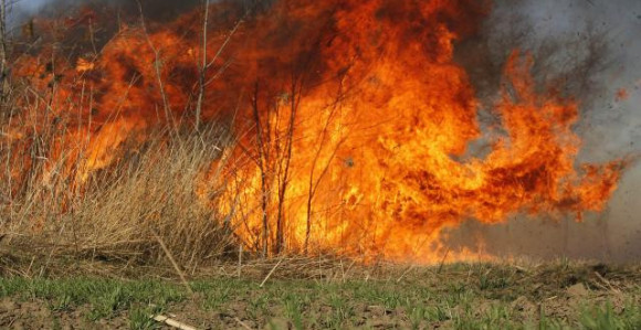 Izbio novi požar u Srbiji