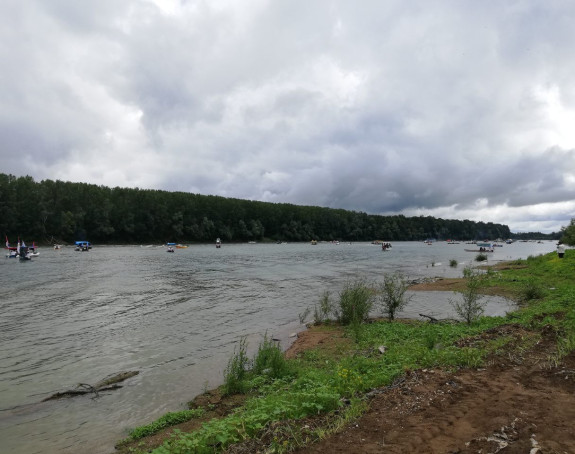 Počela "Savska regata 2019"