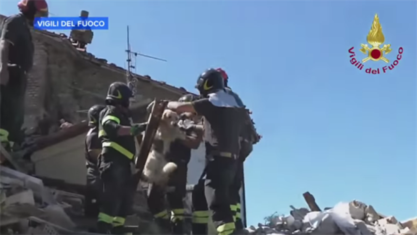 Ромео преживио девет дана под рушевинама