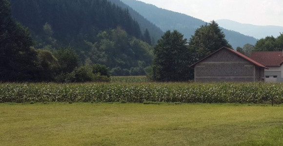 Ubio komšiju strujom štiteći kukuruz