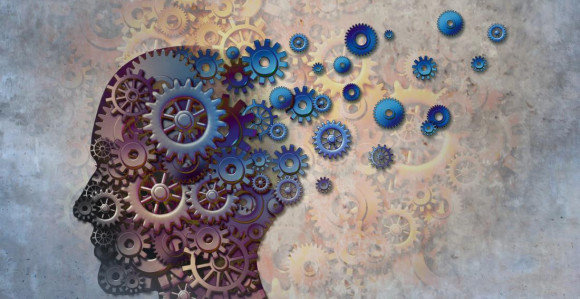 Kako sjećanja opstaju u mozgu, a kako blijede?