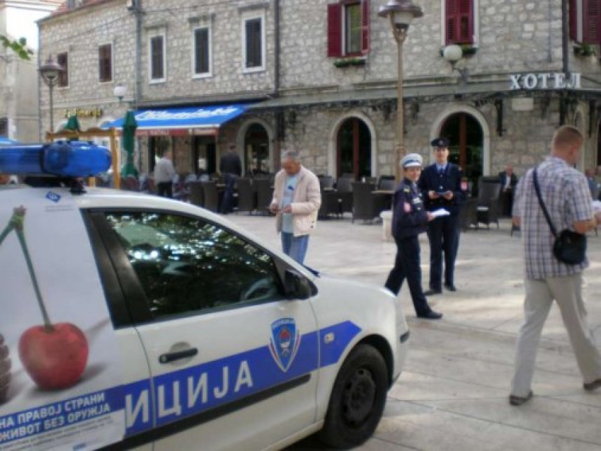 Trebinju potrebno još pedeset policajaca