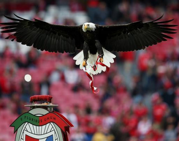 E, ovo vam je Uprava koja se zaista bori za klub!