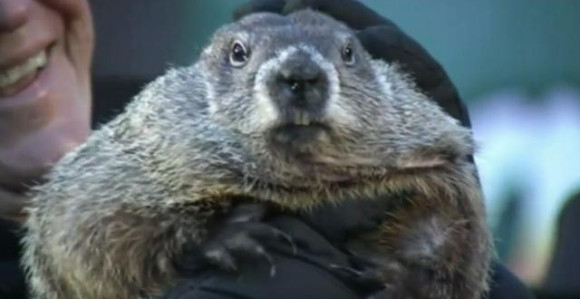 Mrmot Fil prognozira rano proljeće