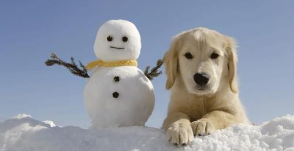 Toplije vrijeme: Temperatura 7°C