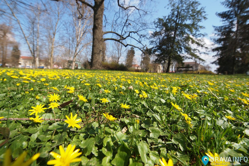 Temperatura danas i do 24 stepena