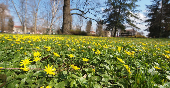 Temperatura danas i do 24 stepena
