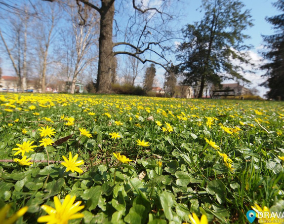 Temperatura danas i do 24 stepena