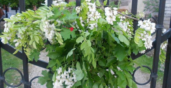 Đurđevdan u Semberiji