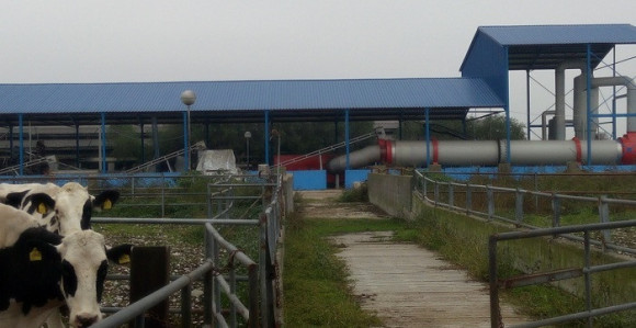 Radnici Farmlanda: Glas koji niko ne čuje