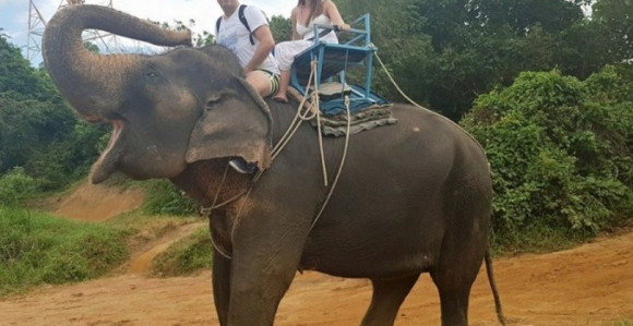 Ima li smisla poštovati zakone? 